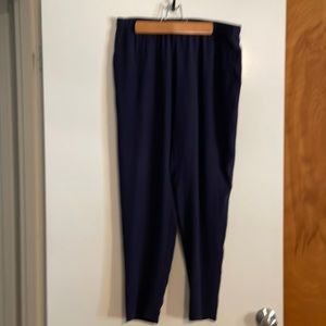 Eileen Fisher, silk, navy, pull on pants. NWT